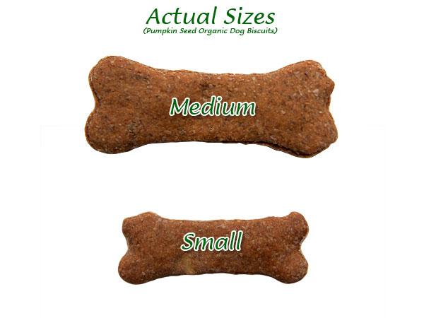 Pumpkin-seed–biscuit-sizes-med-small