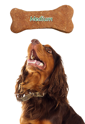 medium_dog